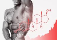 Biological Effects of Testosterone Hormone in Our Body